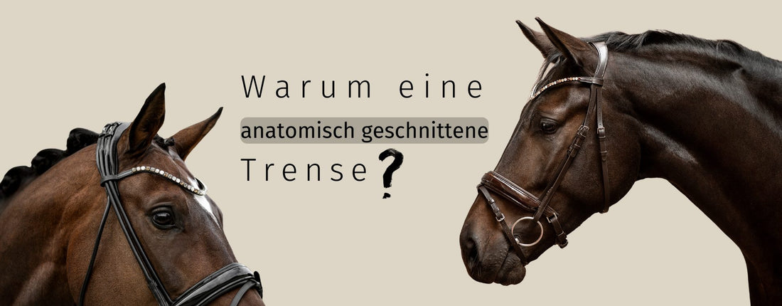 Anatomisch geformt - Warum wir halten, was wir versprechen