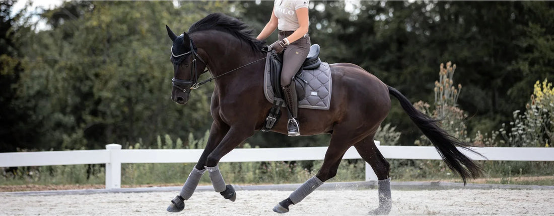 Fehler, Mythen und andere Weisheiten: Fakten über Trensen und Kandaren, die dir so bestimmt nicht bewusst waren (Teil 2)