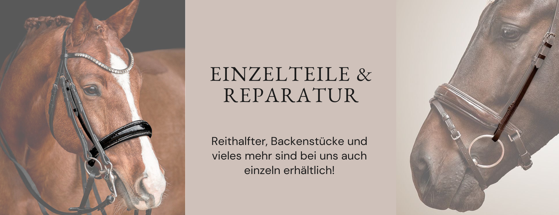 Einzelteile für deinen Zaum – nachhaltig reparieren statt neu kaufen