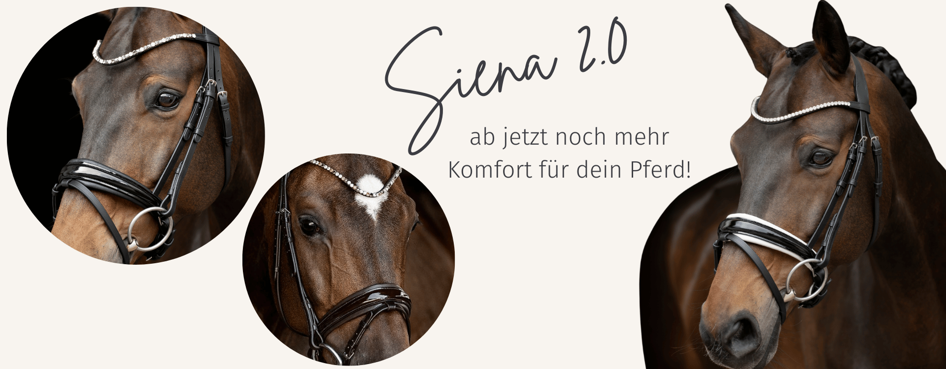 Trensenzaum Siena 2.0: Maximaler Komfort trifft auf elegantes Design