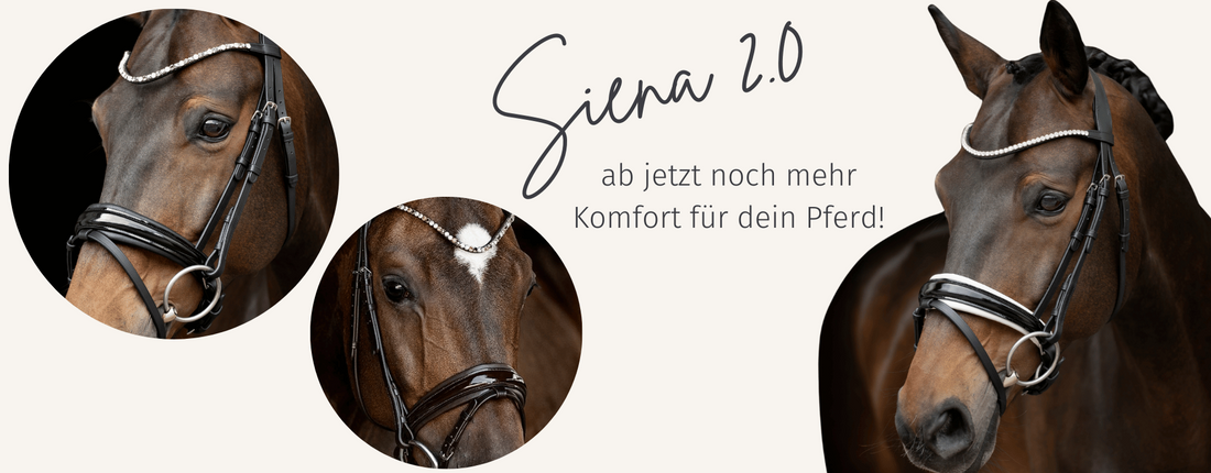 Mehr Komfort, gleiche Eleganz: Die neue Trense „Siena 2.0“