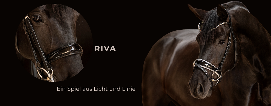 Unser Trensenzaum Riva – ein Spiel aus Licht und Linie