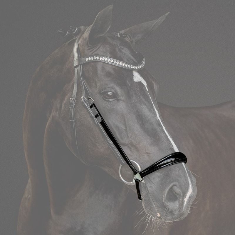 Reithalfter Trensenzaum Catania