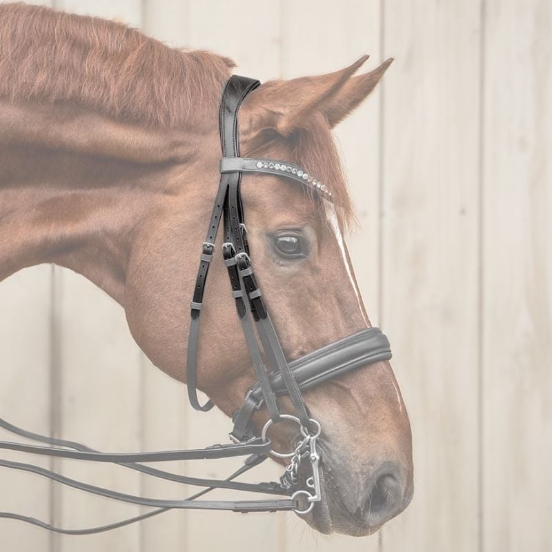 Genickstück für Kandarenzaum