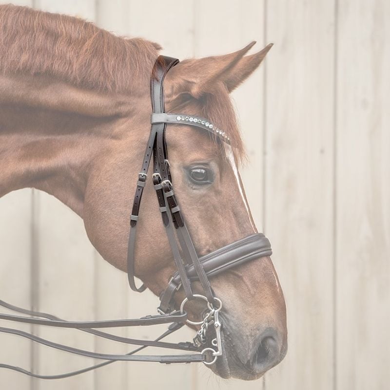 Genickstück für Kandarenzaum