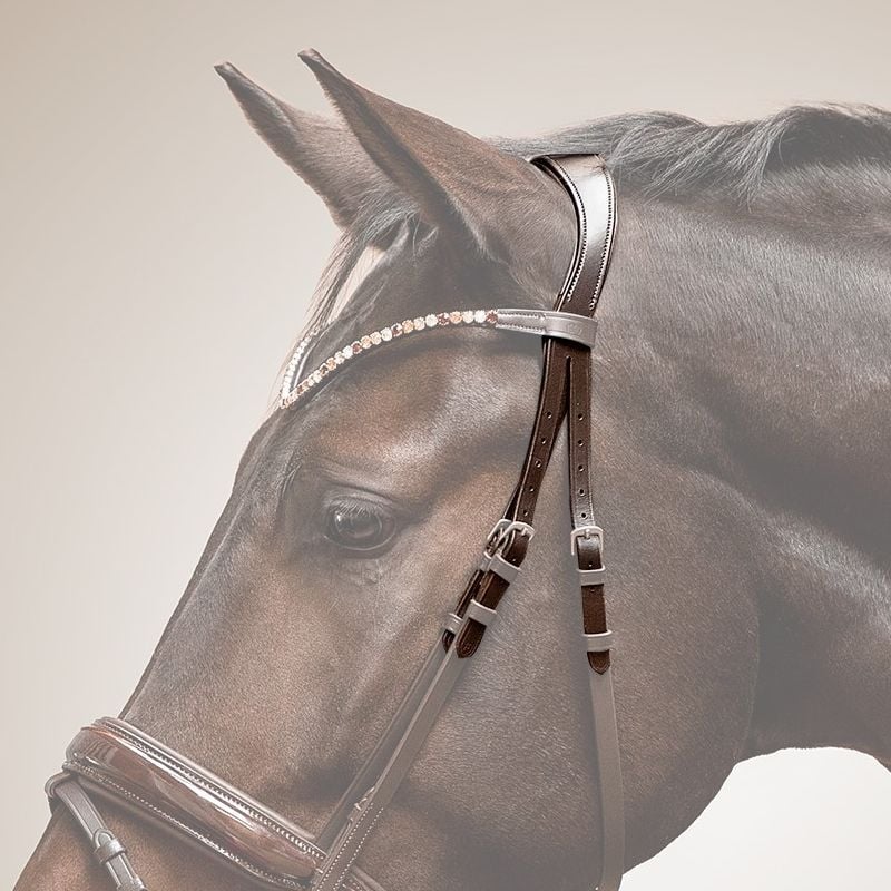 Genickstück für Trensenzaum