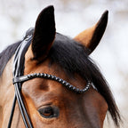Trensenzaum All In Black Glitter schwarz
