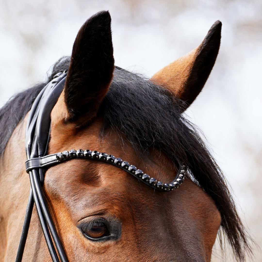 Trensenzaum All In Black Glitter schwarz