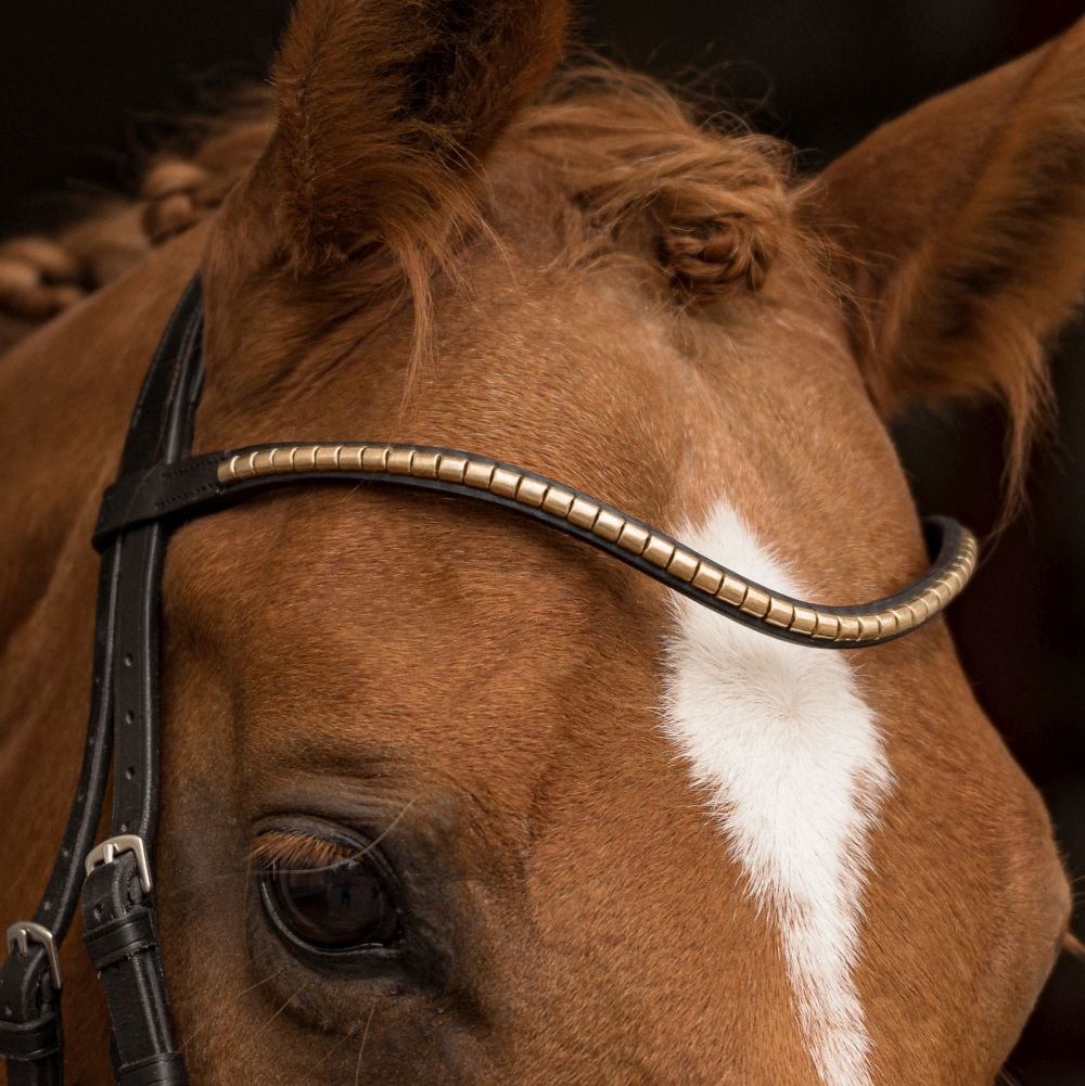 Stirnriemen Slim Clincher gold