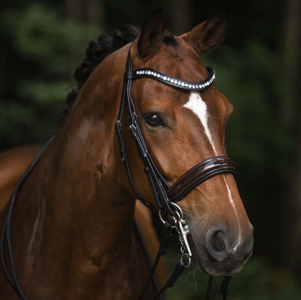 Kandarenzaum Ravenna mit Wunschstirnriemen