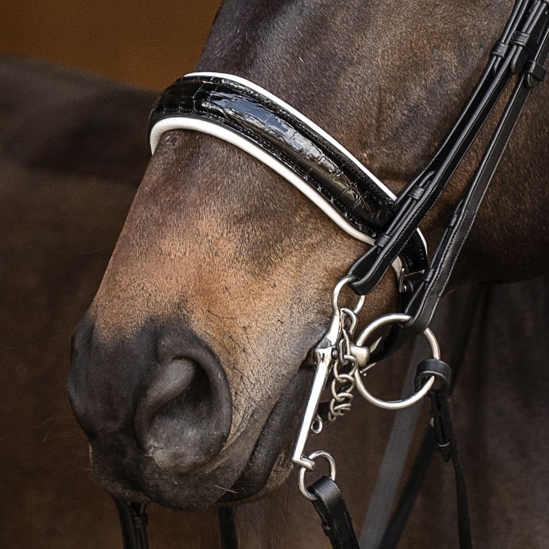 Kandarenzaum Ravenna mit Wunschstirnriemen