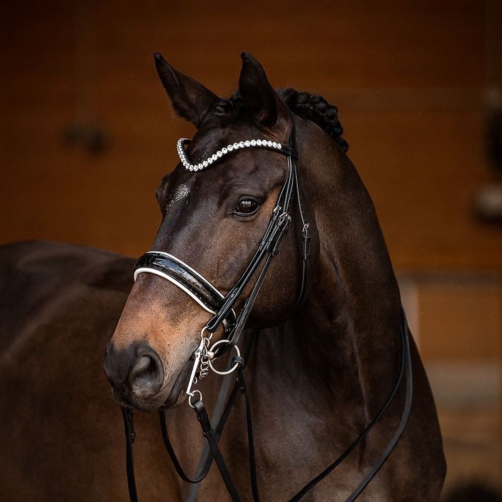 Kandarenzaum Ravenna mit Wunschstirnriemen