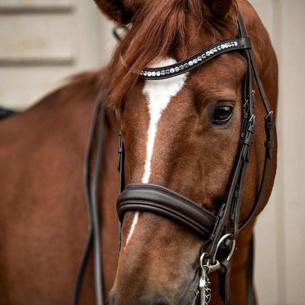 Kandarenzaum Ravenna mit Wunschstirnriemen