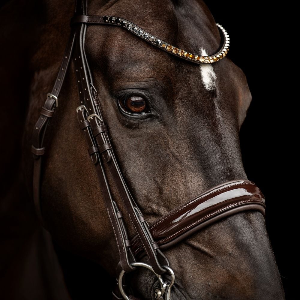 Kandarenzaum Ravenna mit Wunschstirnriemen