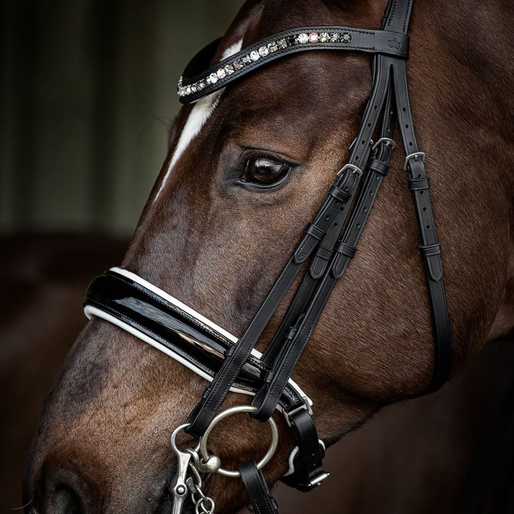 Kandarenzaum Ravenna mit Wunschstirnriemen