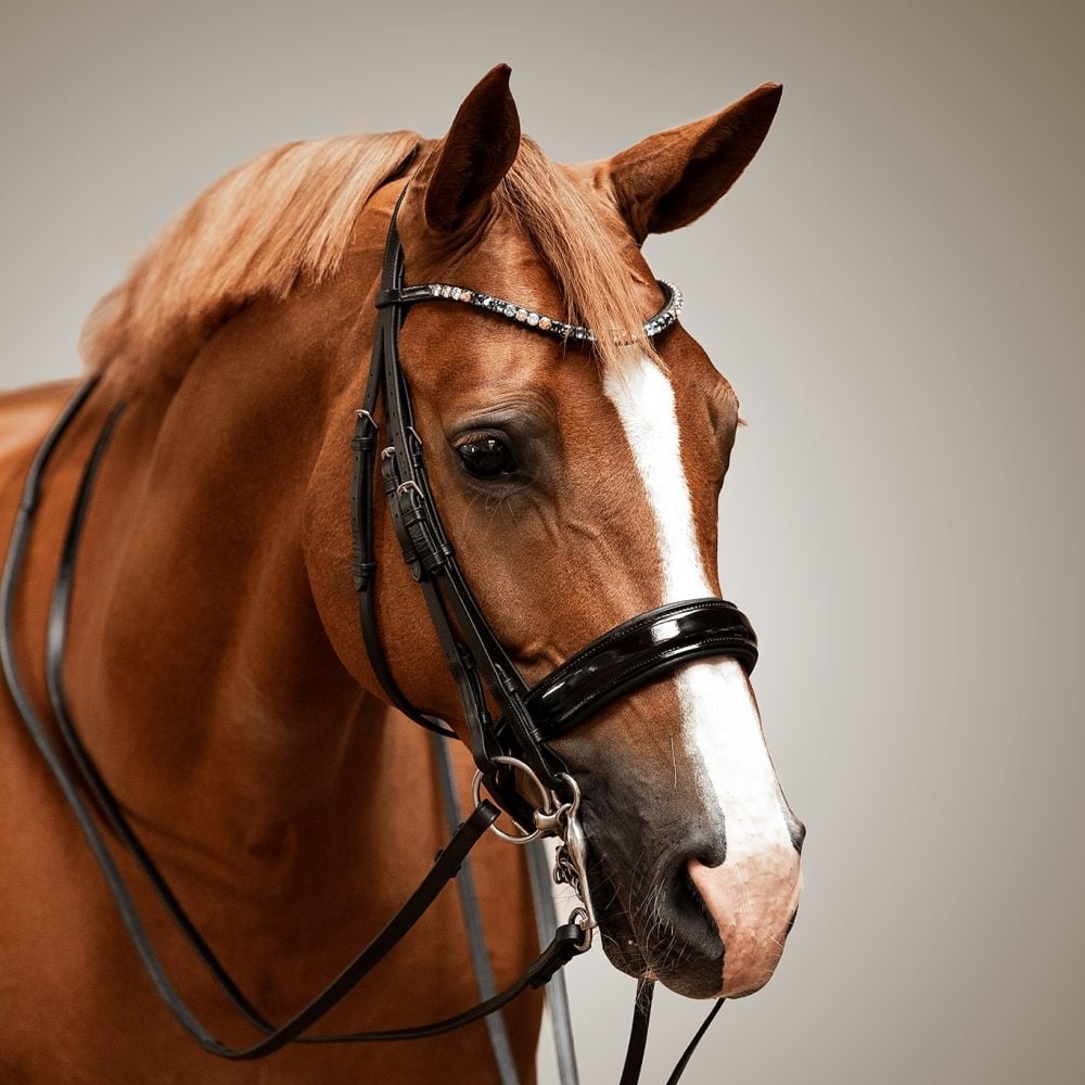 Kandarenzaum Ravenna mit Wunschstirnriemen