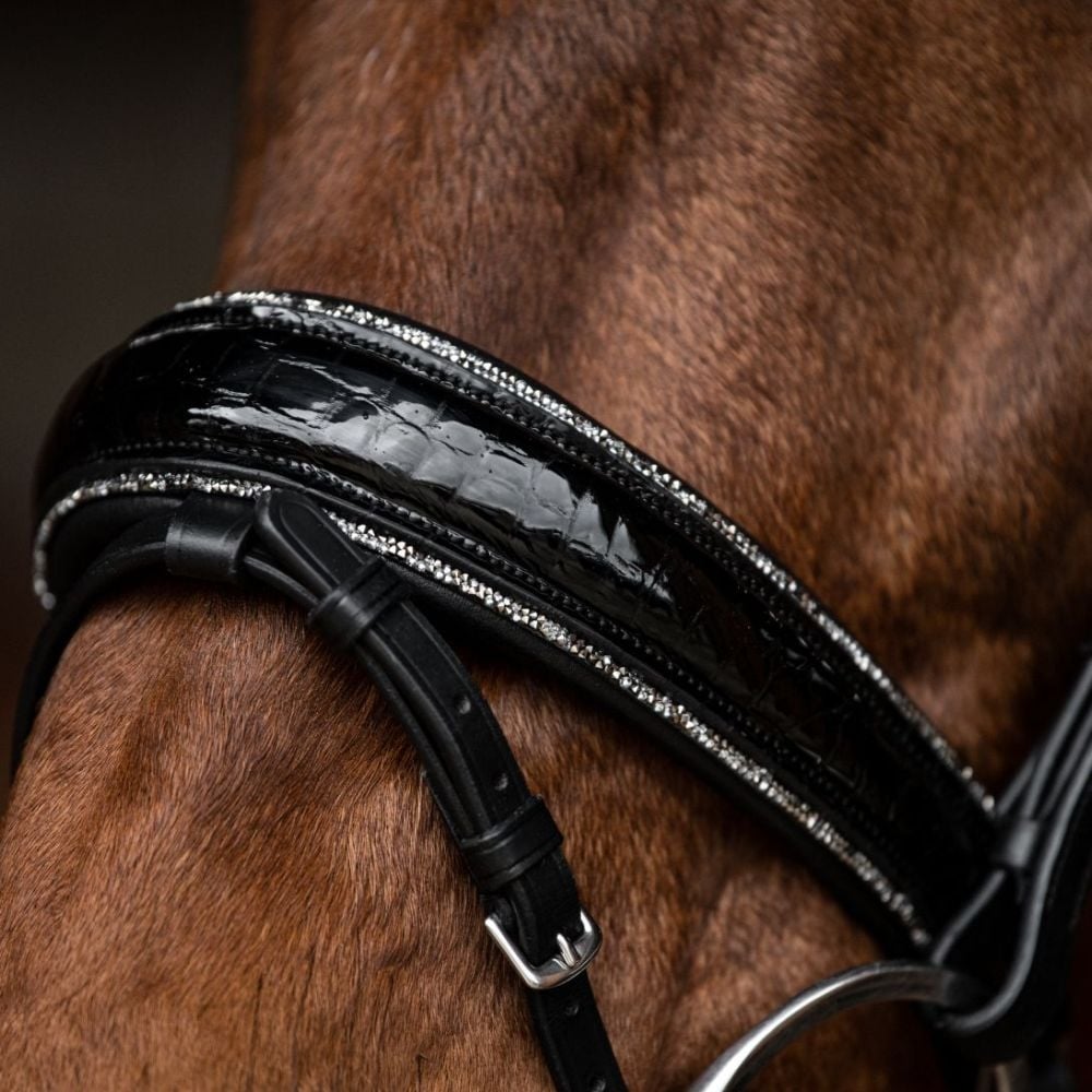 Trensenzaum Riva mit Wunschstirnriemen