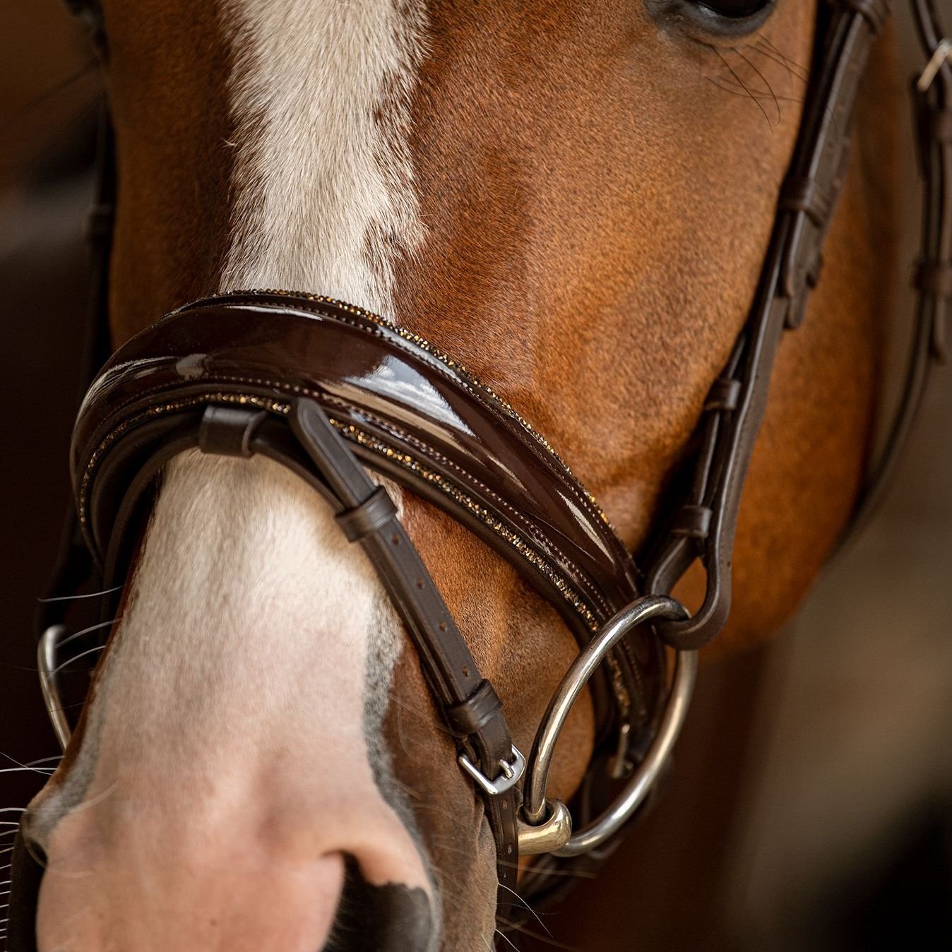 Trensenzaum Riva mit Wunschstirnriemen