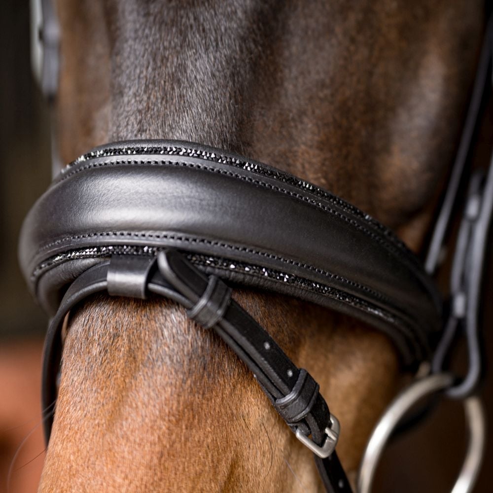 Trensenzaum Riva mit Wunschstirnriemen