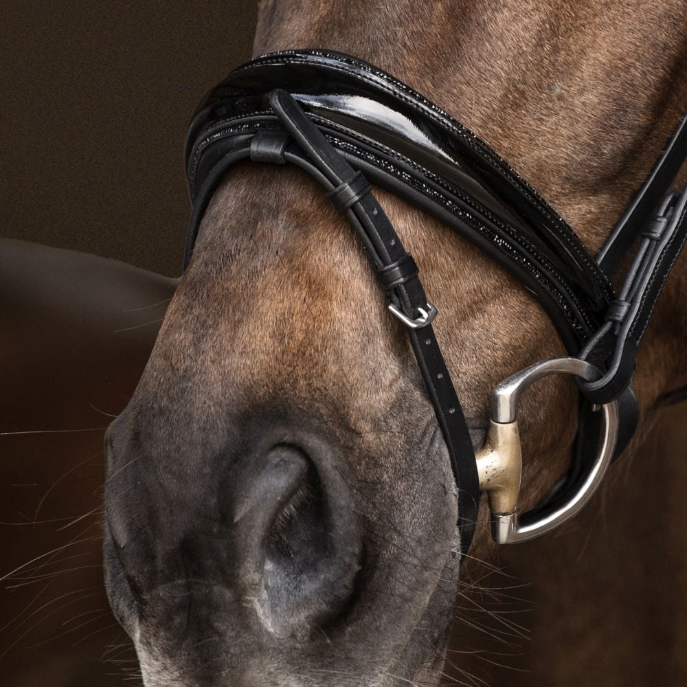 Trensenzaum Riva mit Wunschstirnriemen