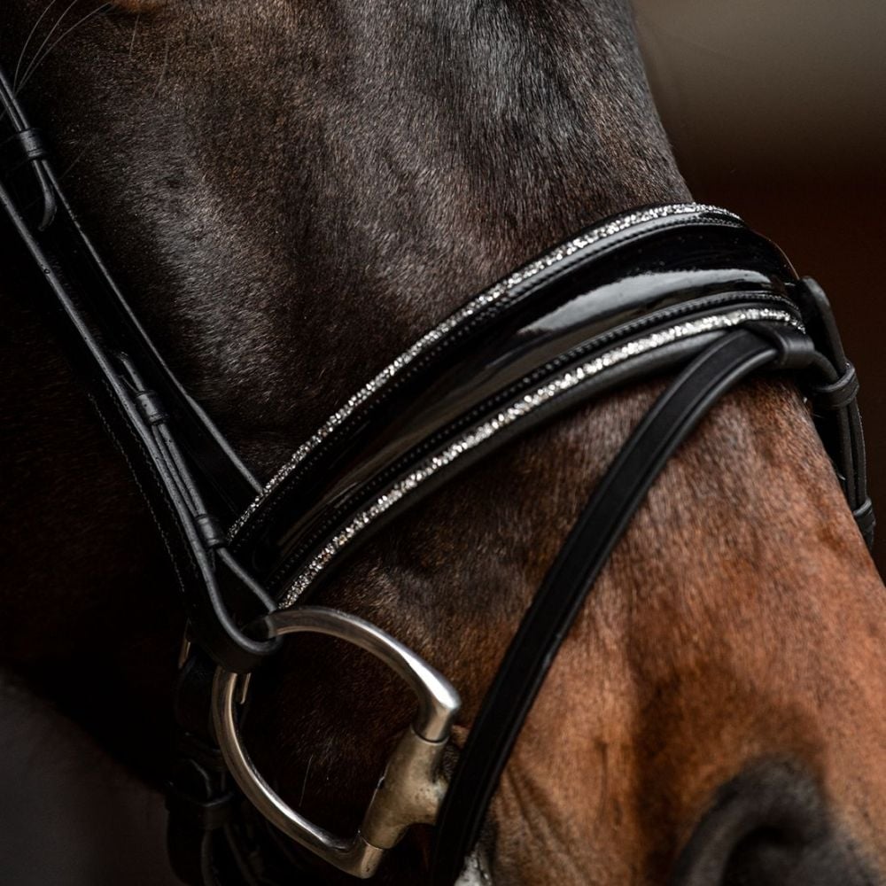 Trensenzaum Riva mit Wunschstirnriemen