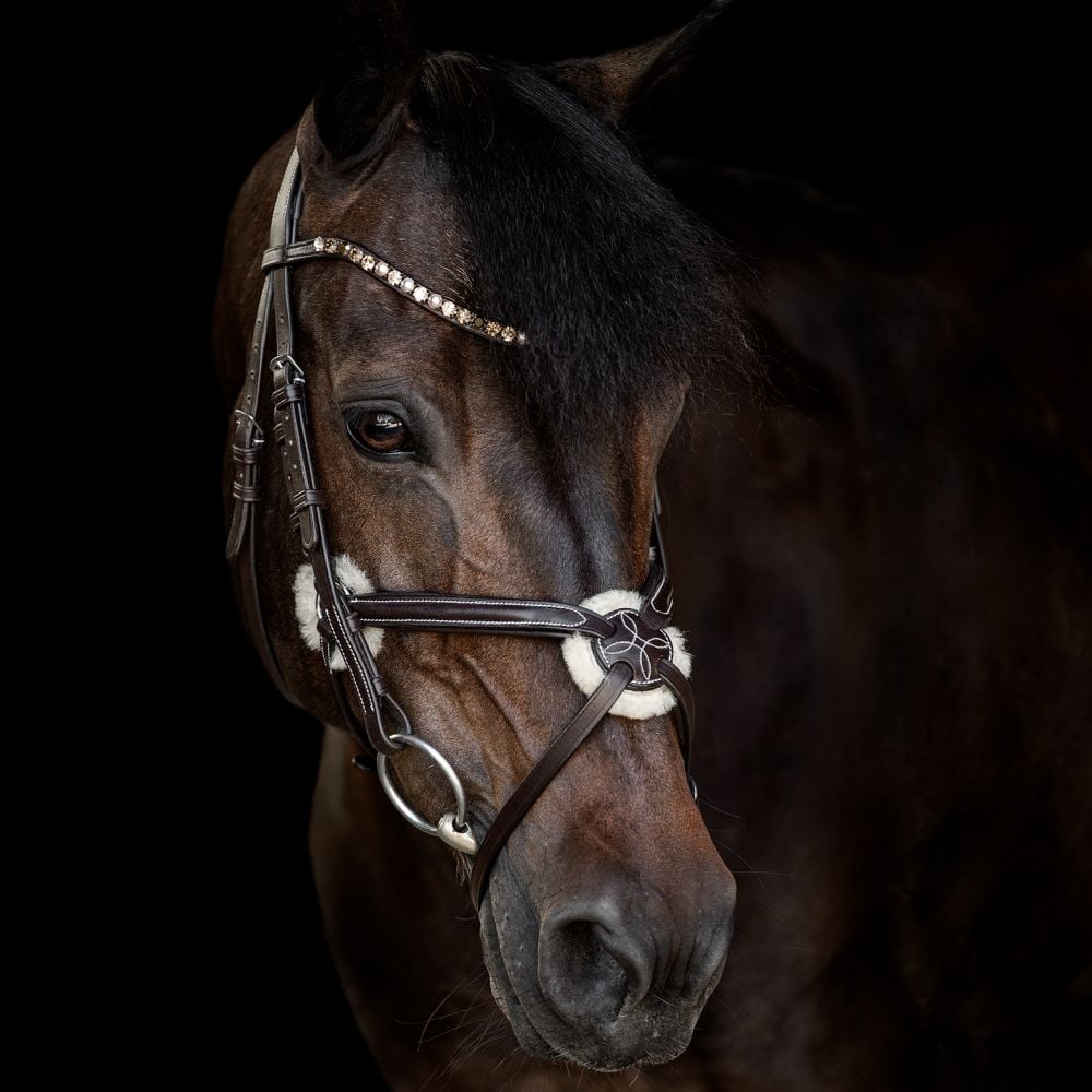 Trensenzaum Bari mit Wunschstirnriemen
