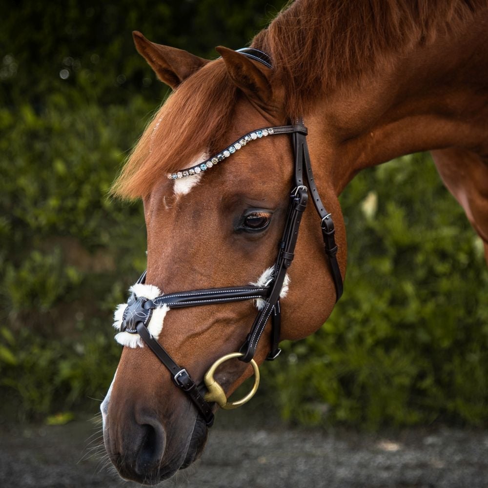 Trensenzaum Bari mit Wunschstirnriemen