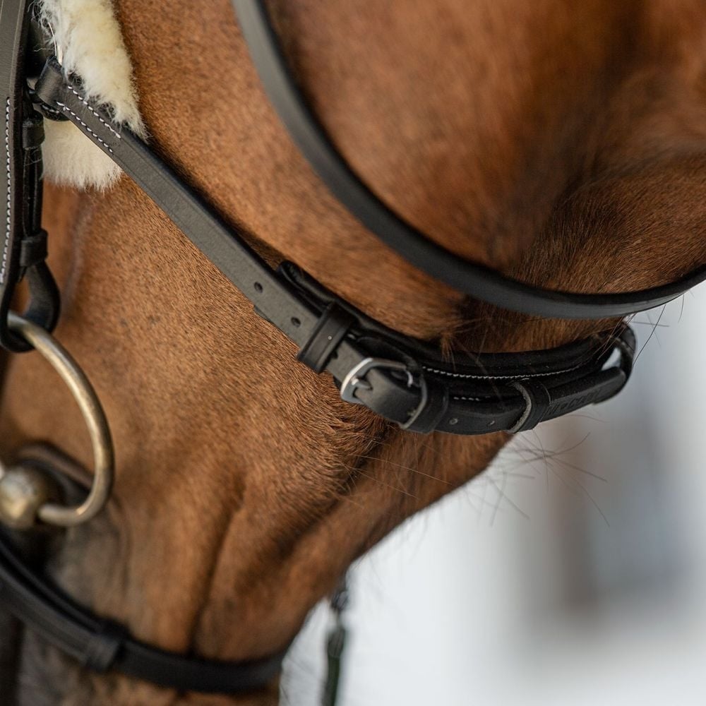 Trensenzaum Bari mit Wunschstirnriemen