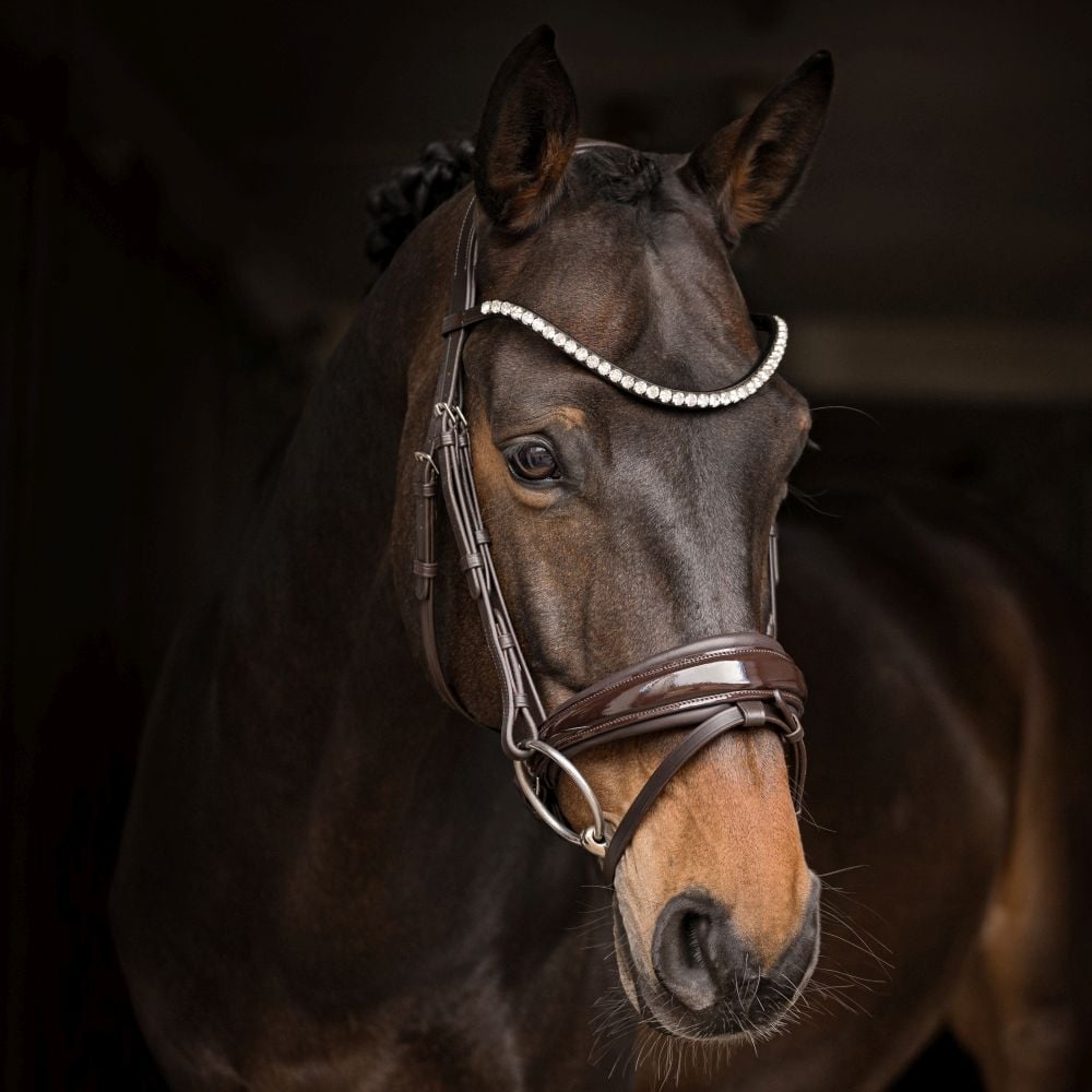 Trensenzaum Rosano mit Wunschstirnriemen