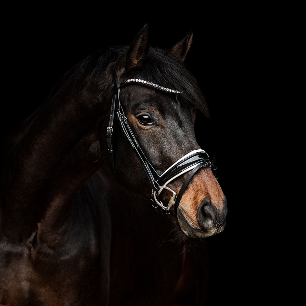 Trensenzaum Rosano mit Wunschstirnriemen