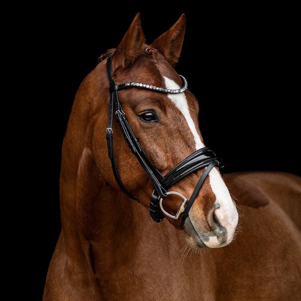 Trensenzaum Rosano mit Wunschstirnriemen