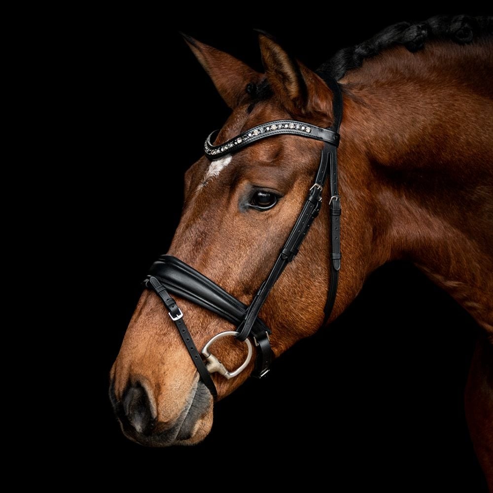 Trensenzaum Rosano mit Wunschstirnriemen