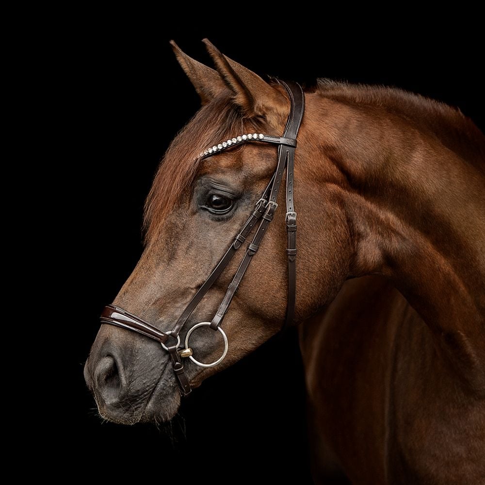 Trensenzaum Catania mit Wunschstirnriemen
