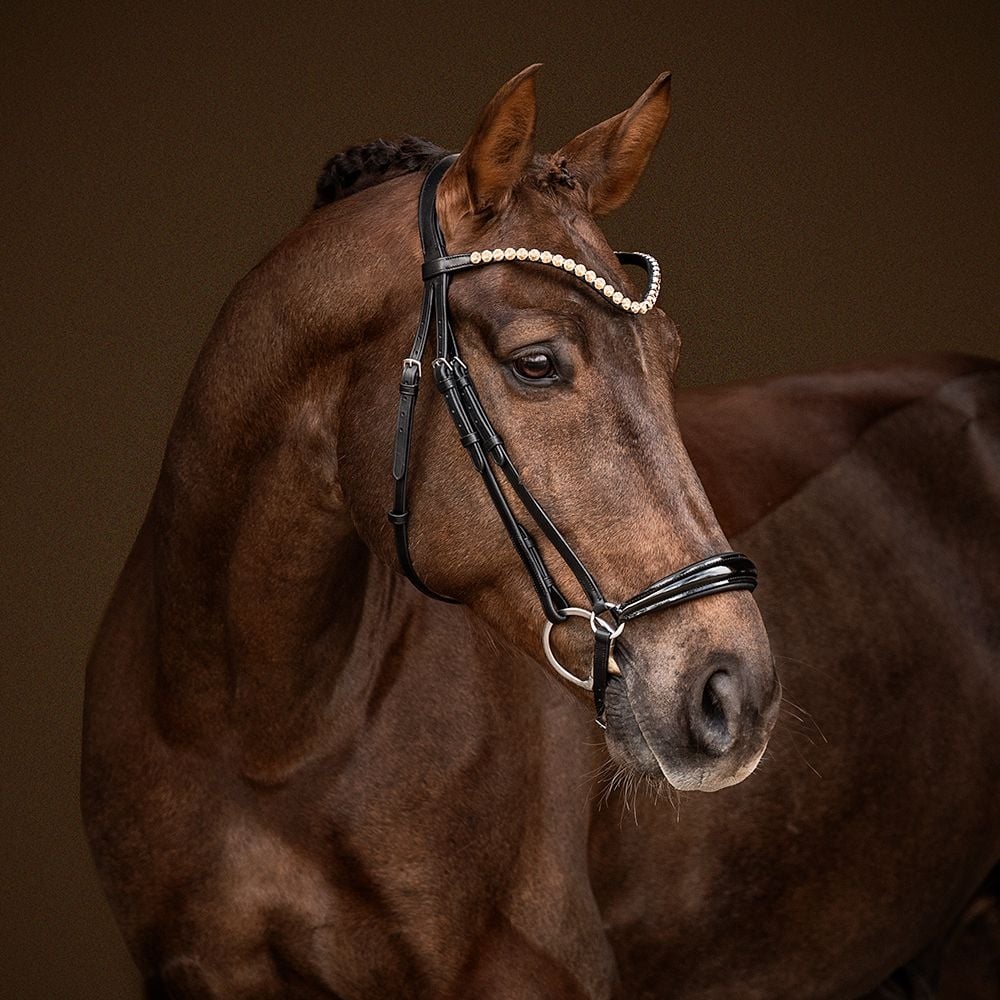 Trensenzaum Catania mit Wunschstirnriemen