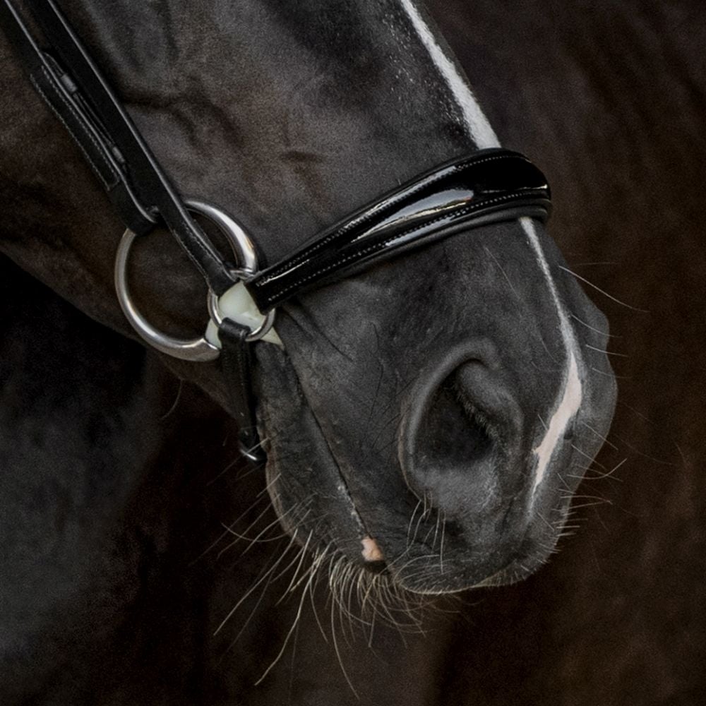 Trensenzaum Catania mit Wunschstirnriemen