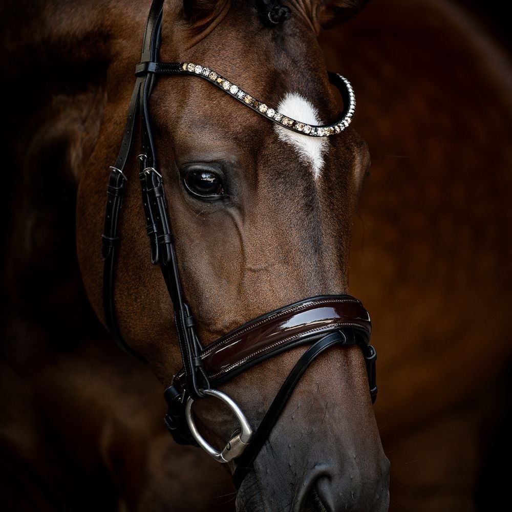 Trensenzaum Ravenna mit Wunschstirnriemen
