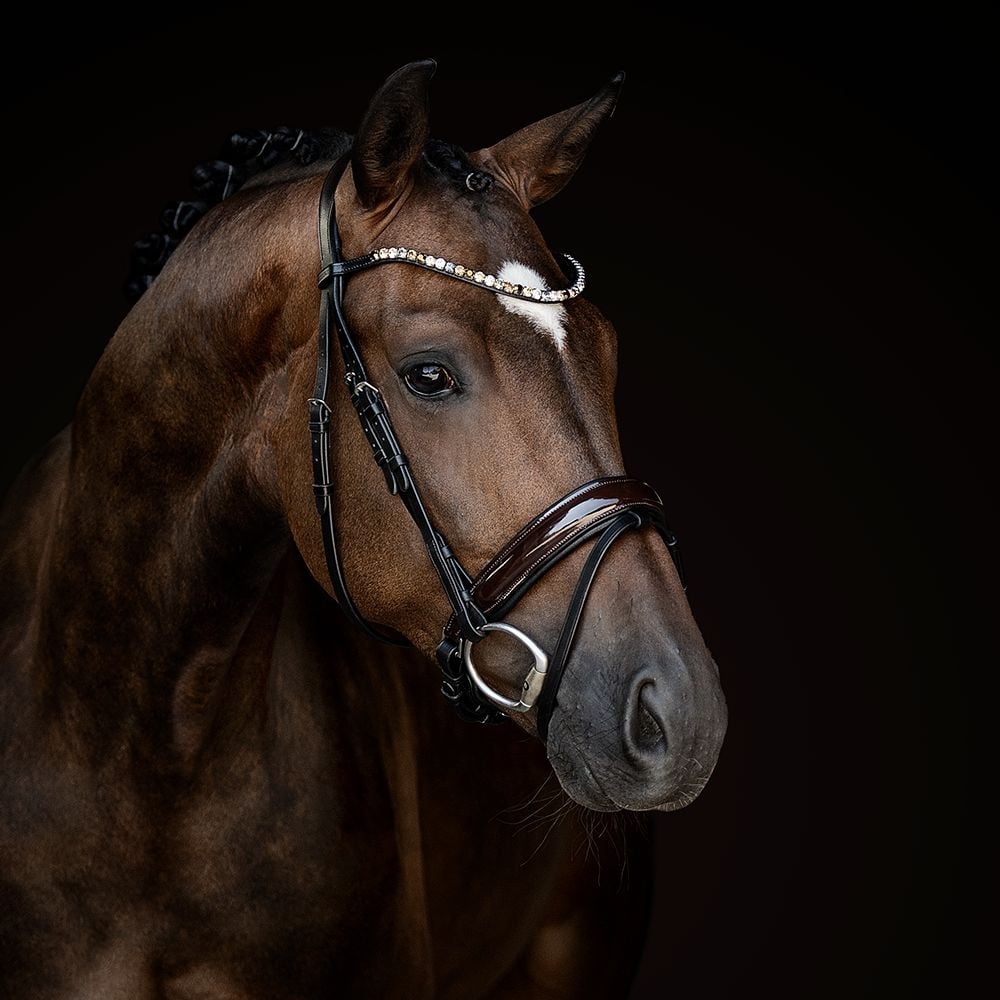 Trensenzaum Ravenna mit Wunschstirnriemen