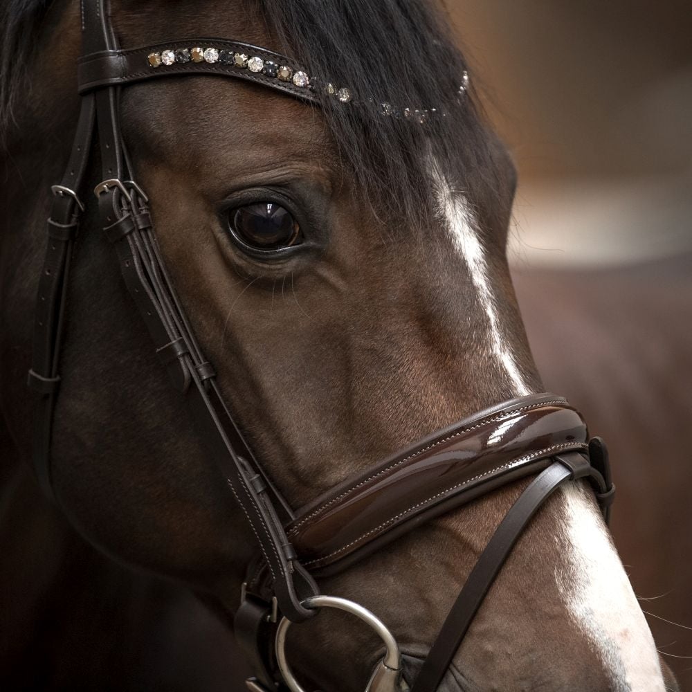 Trensenzaum Ravenna mit Wunschstirnriemen
