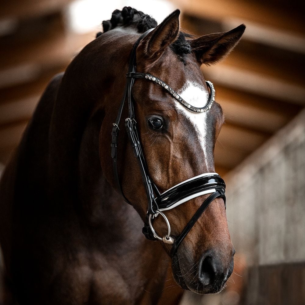 Trensenzaum Ravenna mit Wunschstirnriemen