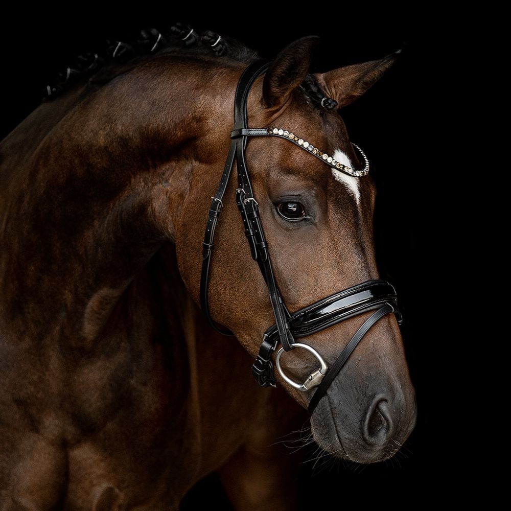 Trensenzaum Ravenna mit Wunschstirnriemen