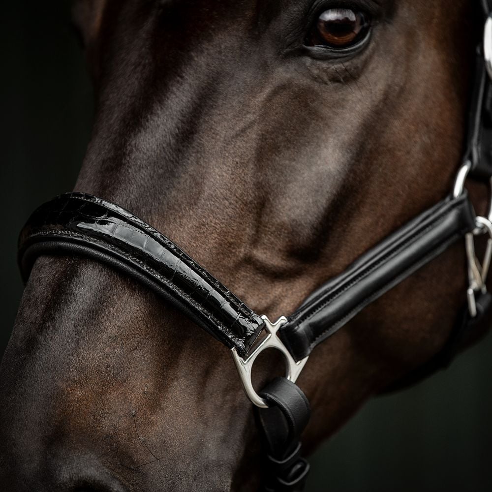 Halfter Milano Lackleder