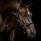 Halfter Milano Lackleder