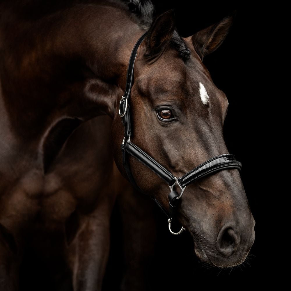 Halfter Milano Lackleder