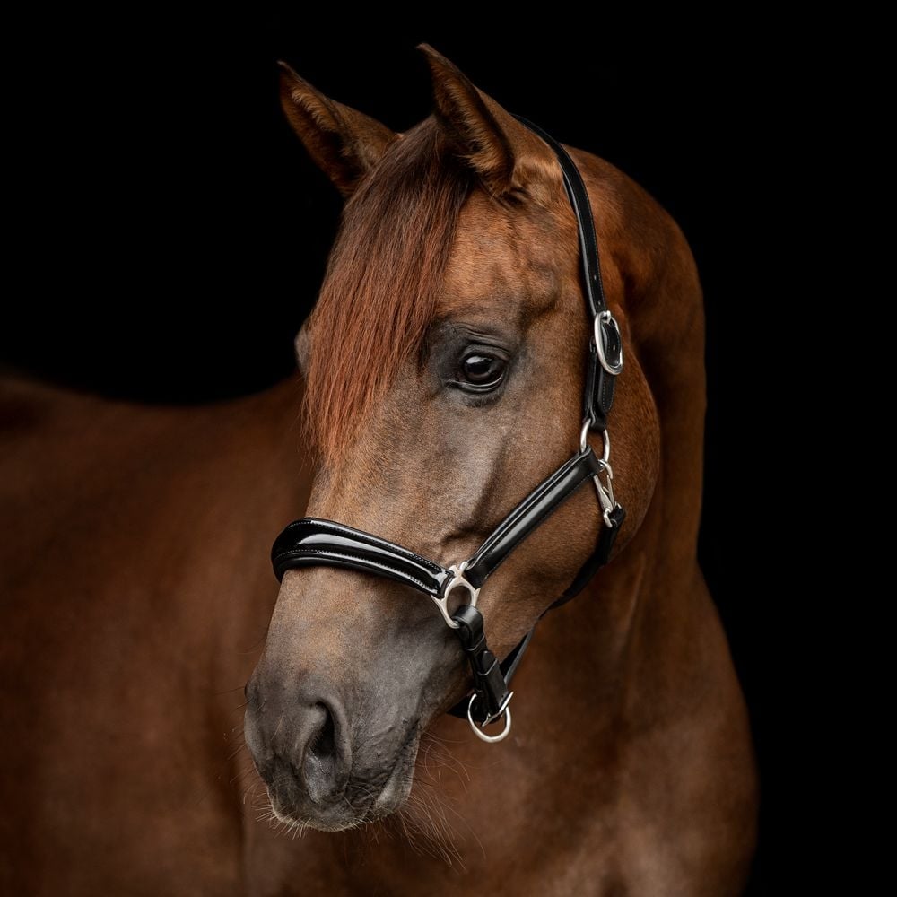 Halfter Milano Lackleder