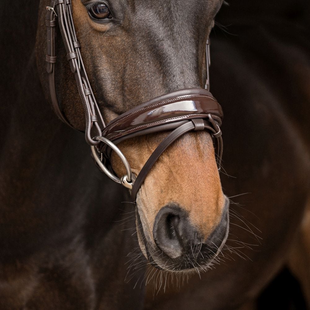 Reithalfter Trensenzaum Rosano