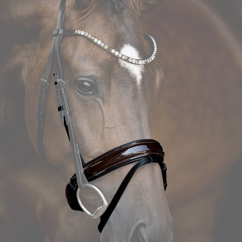 Reithalfter Trensenzaum Ravenna