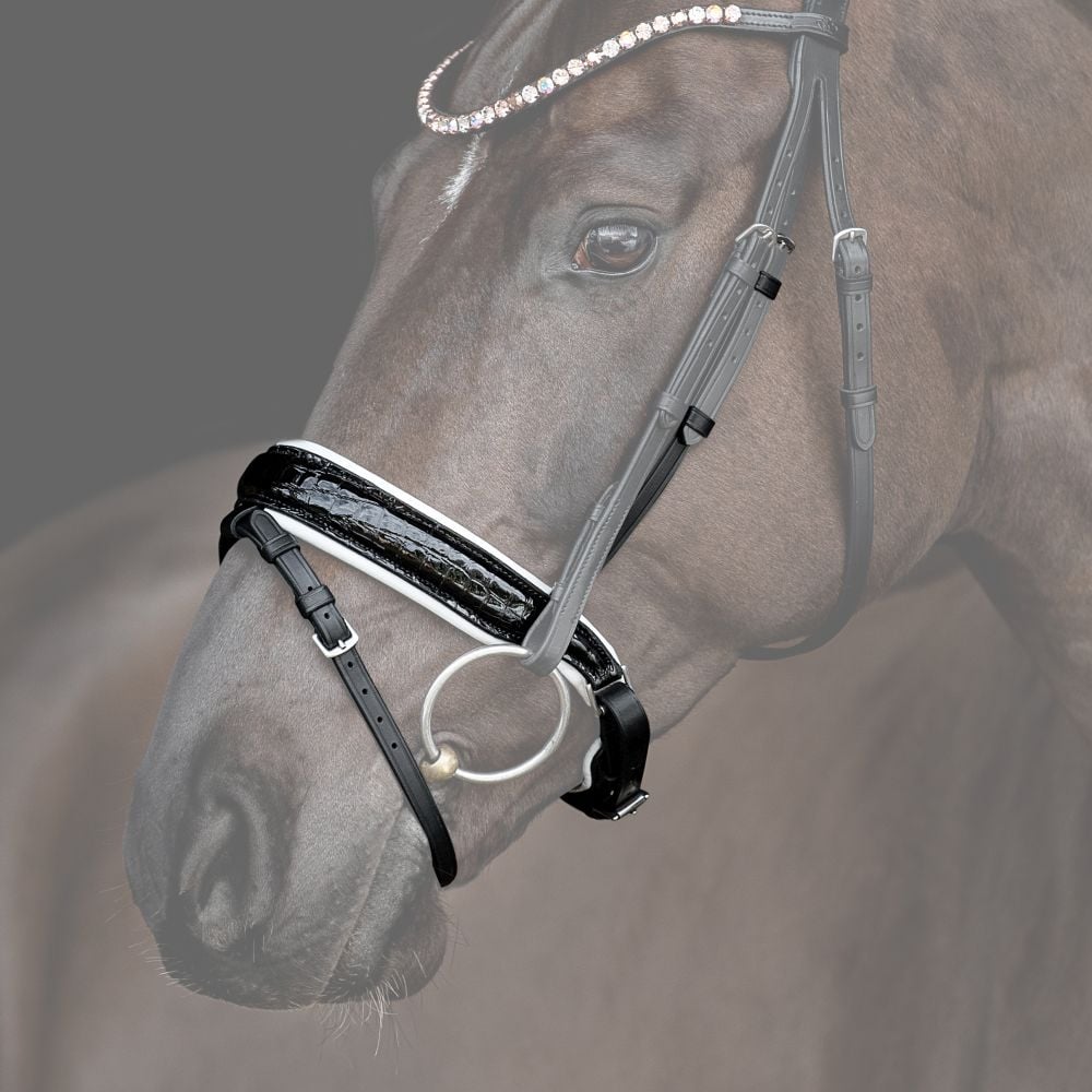 Reithalfter Trensenzaum Ravenna