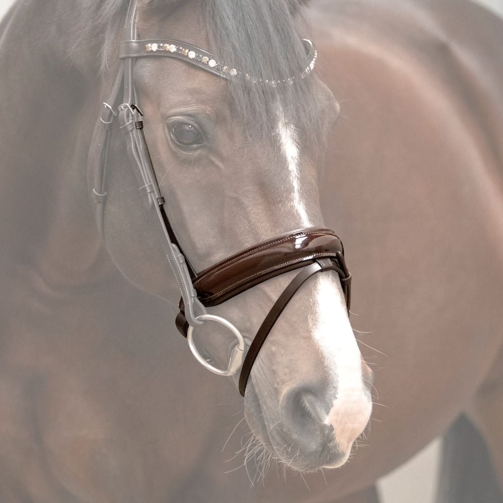 Reithalfter Trensenzaum Ravenna