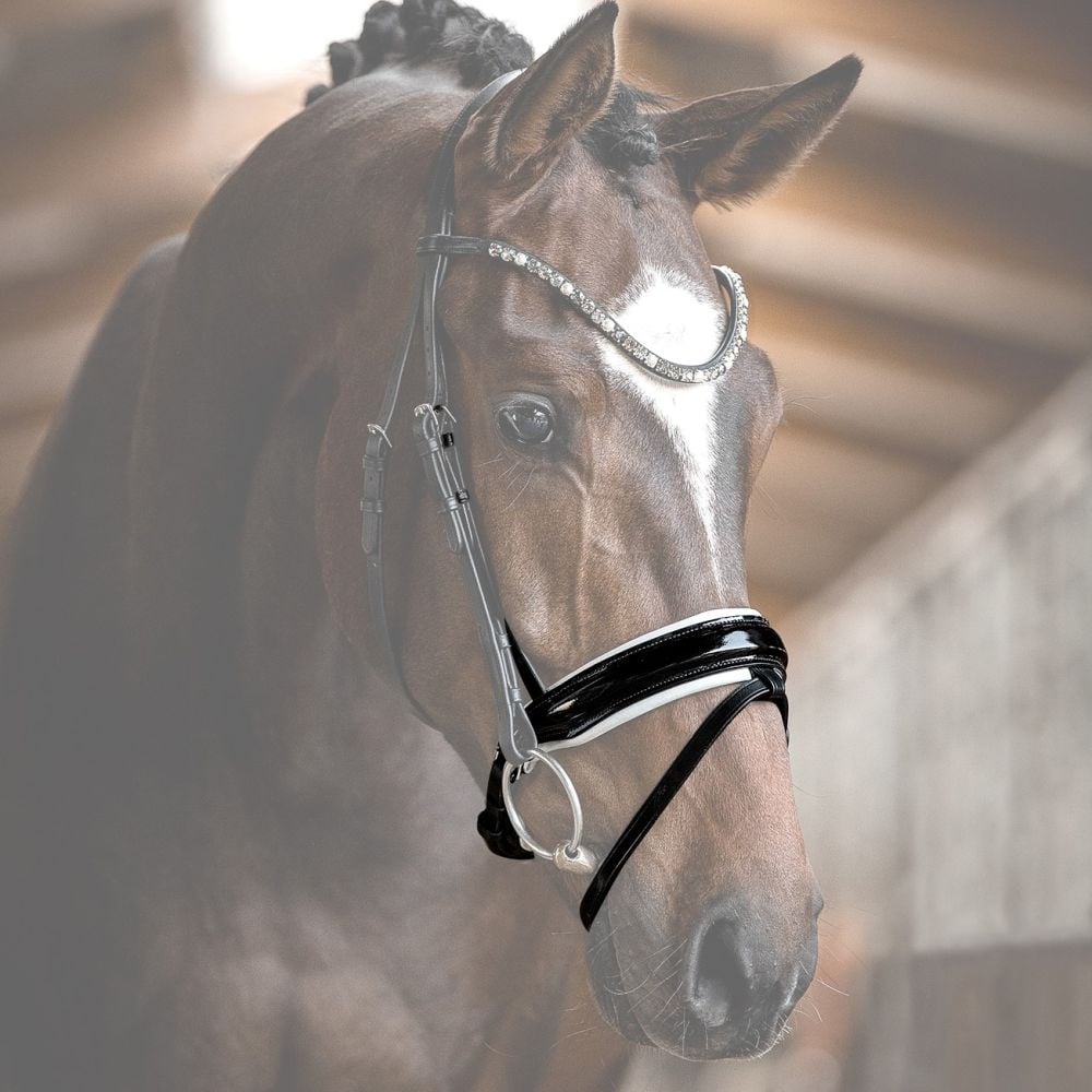 Reithalfter Trensenzaum Ravenna