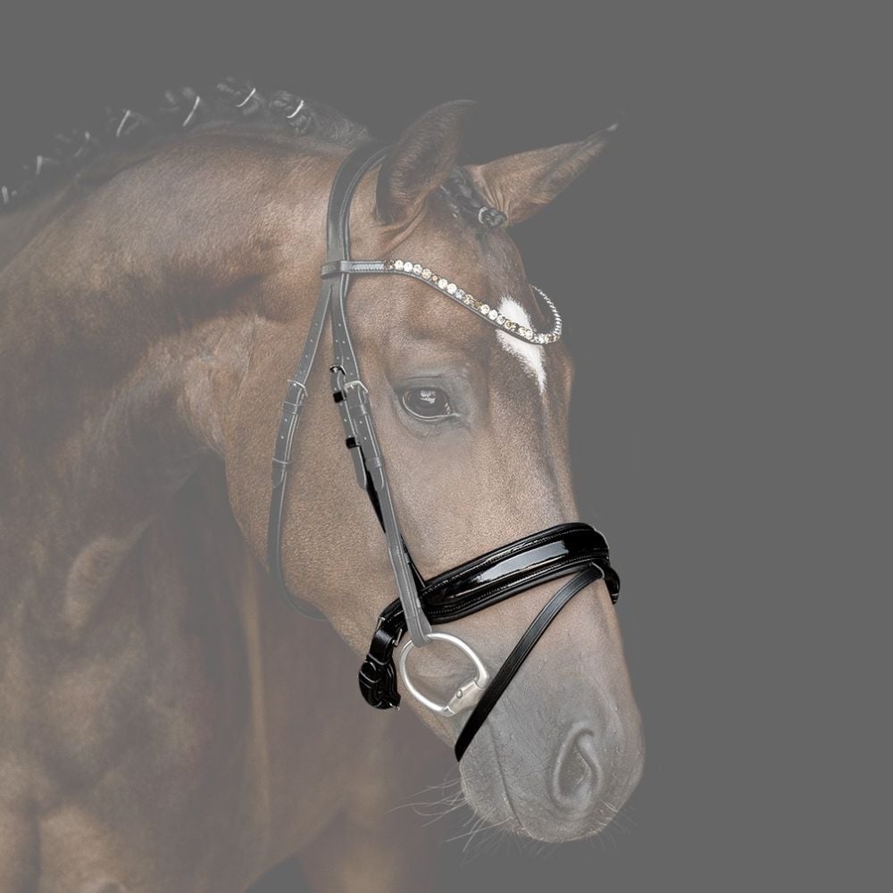 Reithalfter Trensenzaum Ravenna